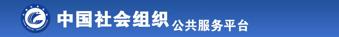 日韩中文字幕在线视频全国社会组织信息查询